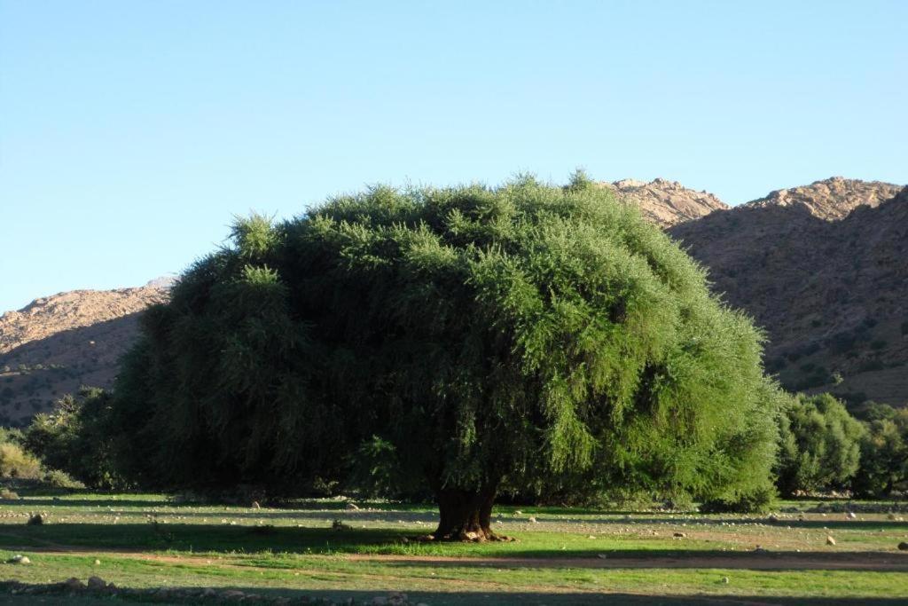 Click Excursions Tafraoute Hotel Taddart Bagian luar foto