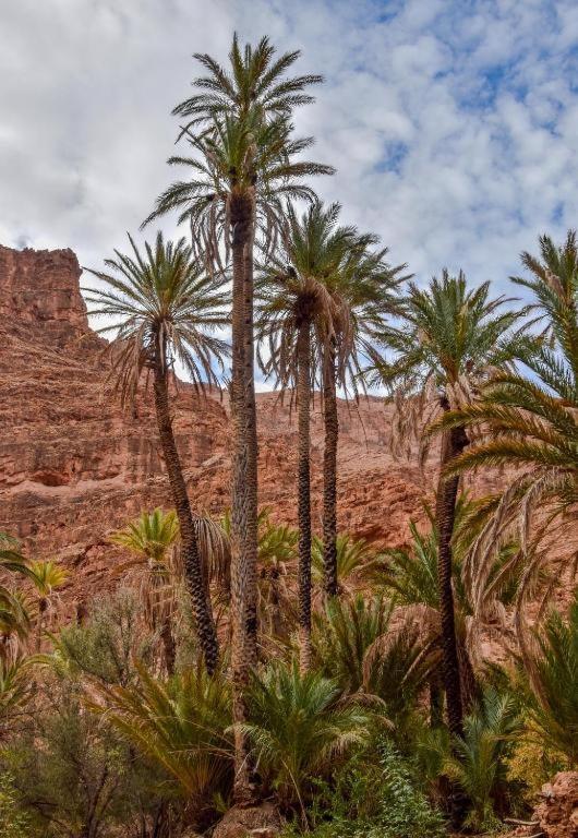 Click Excursions Tafraoute Hotel Taddart Bagian luar foto